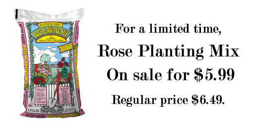Rose mix $5.99, reg $6.49