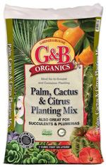 GBO Palm and Citrus