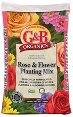 GBO Rose and Flower Mix