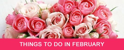 Things to do in February