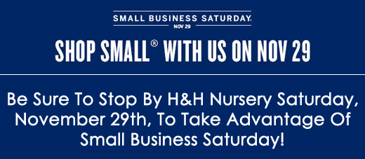 Take Advantage of Small Business Saturday