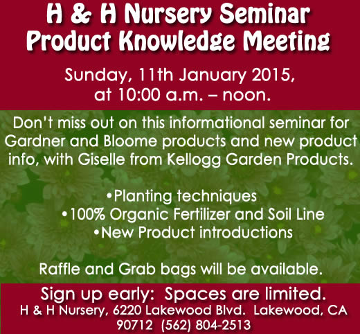 Seminar - Jan.11