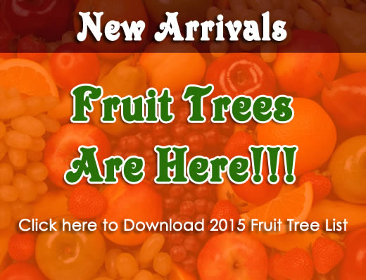 2015 Fruit tree list