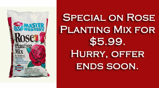 Master Nursery Rose Planting Mix