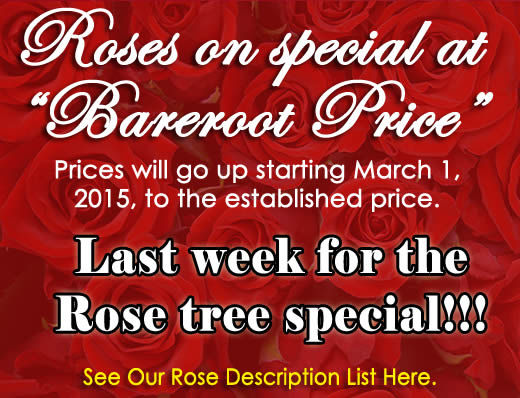 2015 Rose Catalog