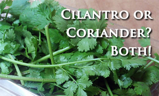 cliantro and coriander