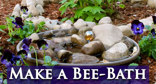 Bee Bath