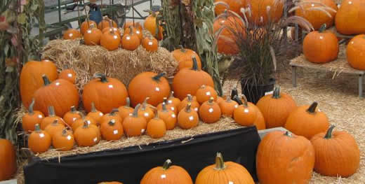 Pumpkins