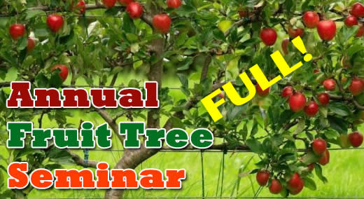 Fruit Tree Seminar Feb 3, 10-12