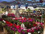 nursery