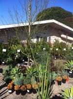 nursery