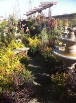 nursery