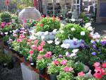 nursery