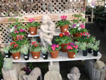 nursery