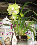 nursery