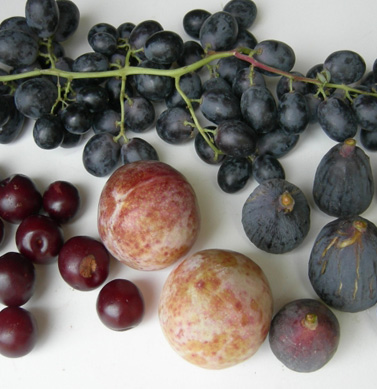 grapes fantasy seedless