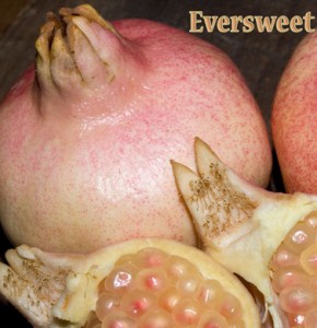 pomegranate eversweet
