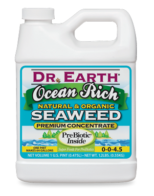 Ocean Rich Seaweed Concentrate - pint