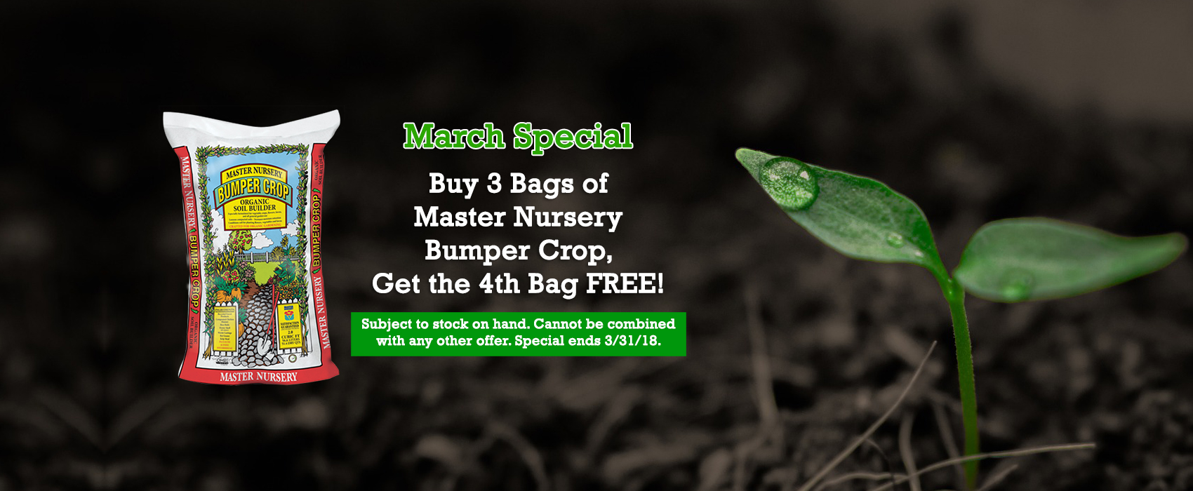 HOME H & H NurseryH & H Nursery