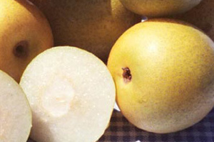Asian Pear