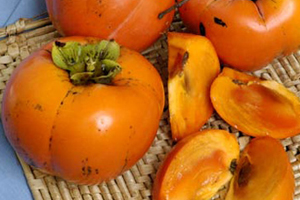 Persimmon