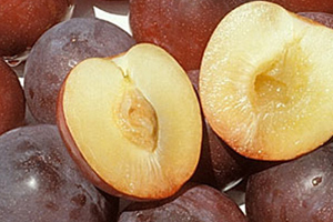 Plum