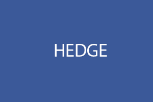HEDGE