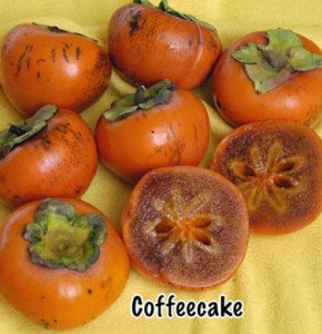 persimmon coffecake